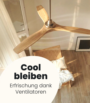 Cool bleiben! Erfrischung dank Ventilatoren