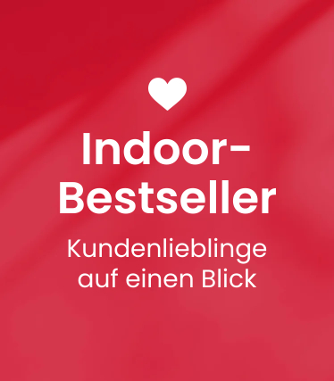 Indoor Bestseller