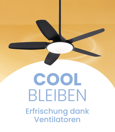 Cool bleiben! Erfrischung dank Ventilatoren