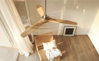 Cool bleiben! Erfrischung dank Ventilatoren Cool bleiben! Erfrischung dank Ventilatoren